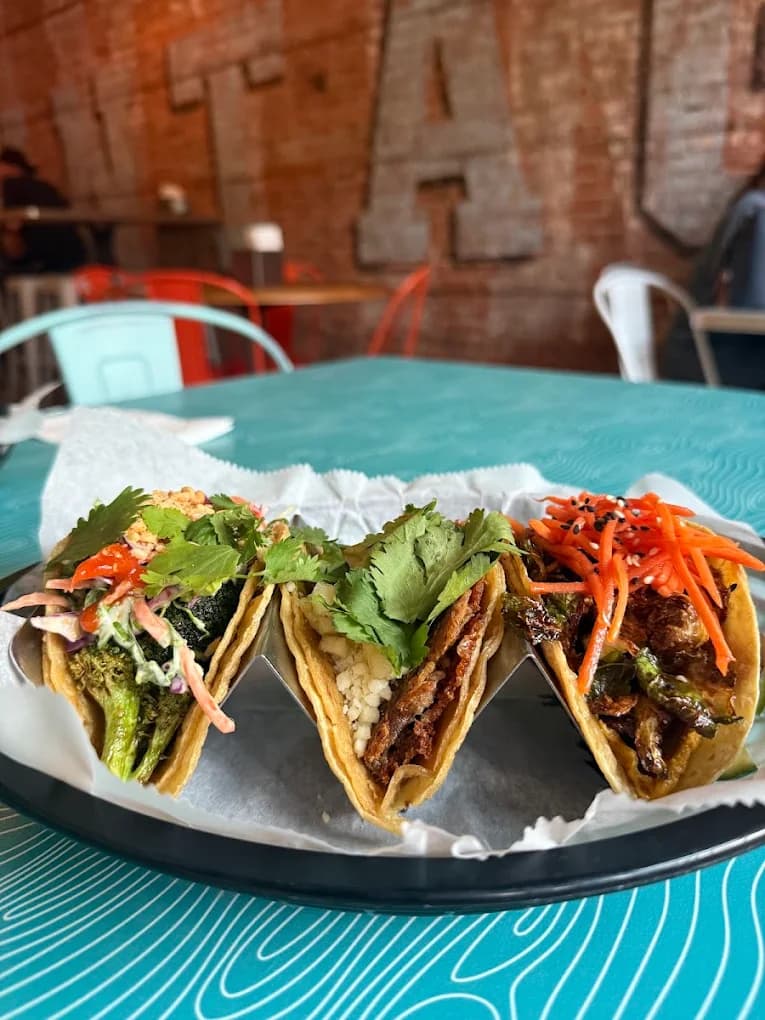 Three gourmet tacos with fresh cilantro and vegetable toppings served in a metal holder.